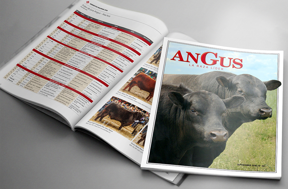 REVISTA ANGUS 281